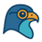Insightly Falcon